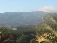 tn_IMG_1361.JPG (200x150; 7108 bytes)