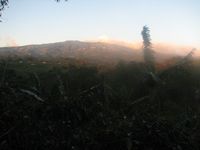 tn_IMG_1367.JPG (200x150; 5369 bytes)