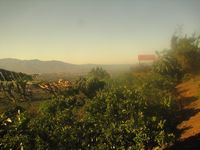 tn_IMG_1375.JPG (200x150; 7942 bytes)