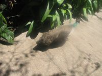 tn_IMG_1381.JPG (200x150; 8940 bytes)