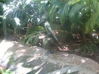 tn_IMG_1406.JPG (200x150; 10467 bytes)