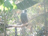 tn_IMG_1427.JPG (200x150; 11699 bytes)