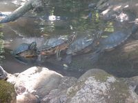 tn_IMG_1437.JPG (200x150; 9429 bytes)
