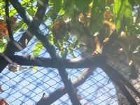 tn_IMG_1445.JPG (200x150; 11943 bytes)