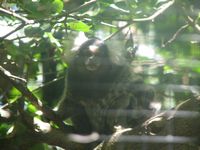 tn_IMG_1459.JPG (200x150; 10023 bytes)