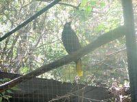 tn_IMG_1471.JPG (200x150; 11355 bytes)