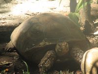 tn_IMG_1477.JPG (200x150; 8640 bytes)
