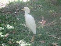 tn_IMG_1483.JPG (200x150; 10558 bytes)