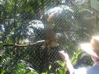 tn_IMG_1484.JPG (200x150; 12991 bytes)