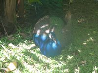 tn_IMG_1489.JPG (200x150; 9763 bytes)