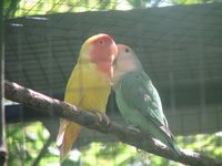 tn_IMG_1496.JPG (200x150; 8290 bytes)