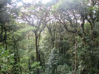 tn_St Croix and Costa Rica 2007 211.JPG (200x150; 12625 bytes)