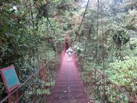tn_St Croix and Costa Rica 2007 220.JPG (200x150; 13065 bytes)