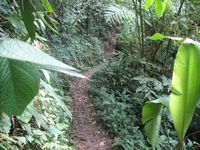 tn_St Croix and Costa Rica 2007 228.JPG (200x150; 13442 bytes)