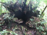 tn_St Croix and Costa Rica 2007 231.JPG (200x150; 12402 bytes)
