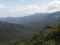 tn_St Croix and Costa Rica 2007 237.JPG (200x150; 7066 bytes)