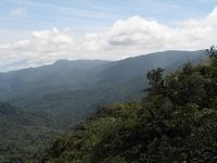 tn_St Croix and Costa Rica 2007 239.JPG (200x150; 7017 bytes)
