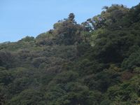 tn_St Croix and Costa Rica 2007 241.JPG (200x150; 7476 bytes)