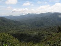 tn_St Croix and Costa Rica 2007 245.JPG (200x150; 7343 bytes)