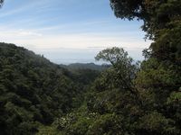 tn_St Croix and Costa Rica 2007 247.JPG (200x150; 8558 bytes)