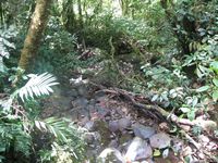 tn_St Croix and Costa Rica 2007 248.JPG (200x150; 14779 bytes)