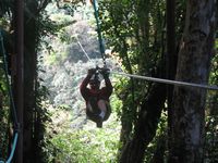 tn_St Croix and Costa Rica 2007 257.JPG (200x150; 12237 bytes)