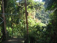 tn_St Croix and Costa Rica 2007 280.JPG (200x150; 12635 bytes)