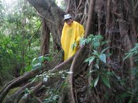 tn_St Croix and Costa Rica 2007 300.JPG (200x150; 11615 bytes)