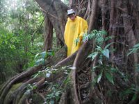 tn_St Croix and Costa Rica 2007 301.JPG (200x150; 11834 bytes)