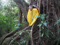 tn_St Croix and Costa Rica 2007 302.JPG (200x150; 11650 bytes)