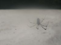 tn_St Croix and Costa Rica 2007 343.JPG (200x150; 3938 bytes)
