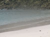 tn_St Croix and Costa Rica 2007 358.JPG (200x150; 5947 bytes)