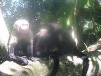 tn_St Croix and Costa Rica 2007 363.JPG (200x150; 9197 bytes)