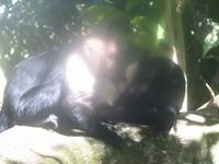 tn_St Croix and Costa Rica 2007 364.JPG (200x150; 7961 bytes)