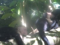 tn_St Croix and Costa Rica 2007 369.JPG (200x150; 8090 bytes)