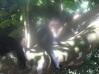 tn_St Croix and Costa Rica 2007 371.JPG (200x150; 8815 bytes)