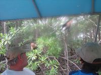 tn_St Croix and Costa Rica 2007 396.JPG (200x150; 9490 bytes)