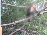 tn_St Croix and Costa Rica 2007 398.JPG (200x150; 10920 bytes)