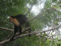 tn_St Croix and Costa Rica 2007 399.JPG (200x150; 10726 bytes)
