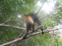 tn_St Croix and Costa Rica 2007 400.JPG (200x150; 11121 bytes)