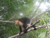 tn_St Croix and Costa Rica 2007 401.JPG (200x150; 10998 bytes)