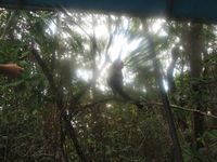tn_St Croix and Costa Rica 2007 416.JPG (200x150; 9672 bytes)