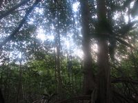 tn_St Croix and Costa Rica 2007 427.JPG (200x150; 10847 bytes)