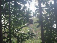 tn_St Croix and Costa Rica 2007 431.JPG (200x150; 11047 bytes)