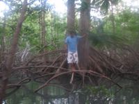 tn_St Croix and Costa Rica 2007 437.JPG (200x150; 8950 bytes)