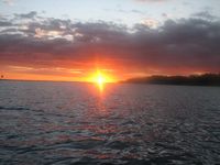 tn_St Croix and Costa Rica 2007 467.JPG (200x150; 7413 bytes)